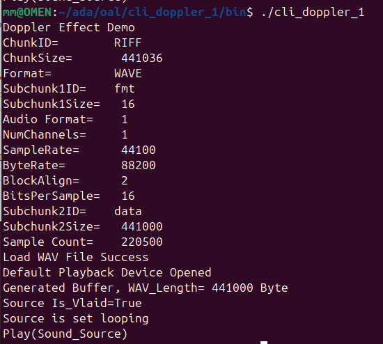 Execution Terminal output